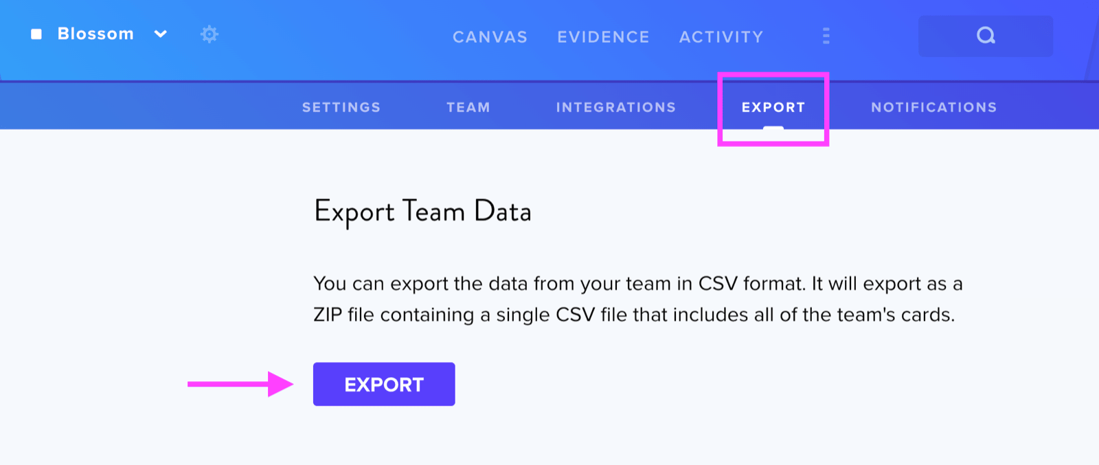 Team export
