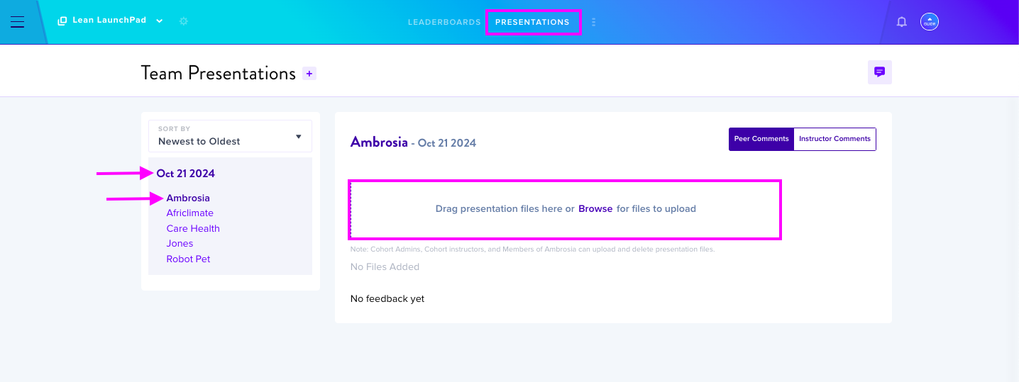 Presentation upload interface