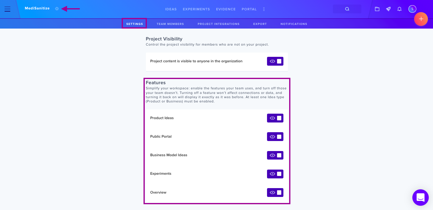Project features toggles